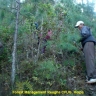 Forest Management Reugha CFUG, Rolpa